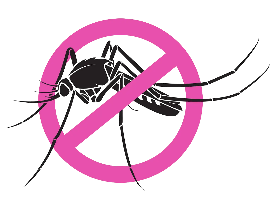 Mosquito graphic with ban shape.