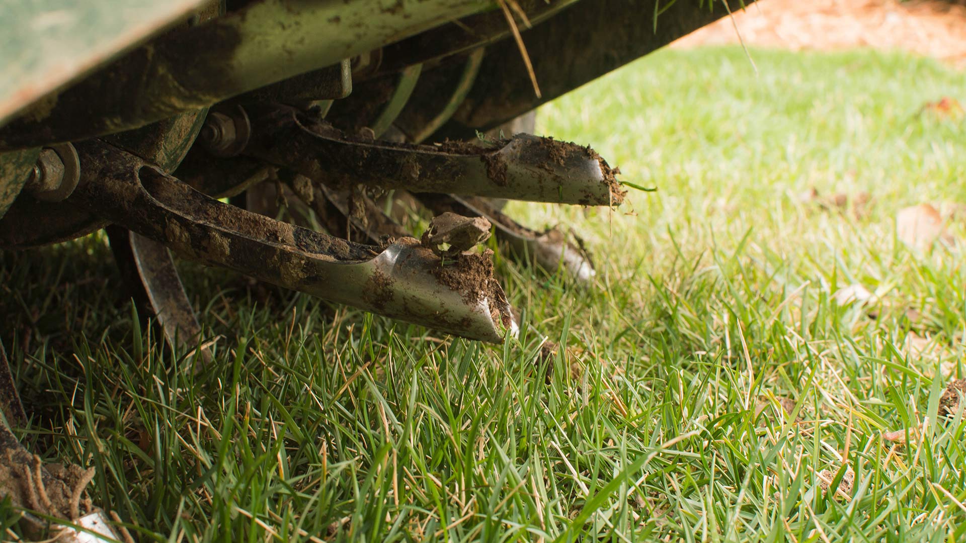 Liquid vs Core Aeration - Which One Is Better for Your Lawn in Indiana?
