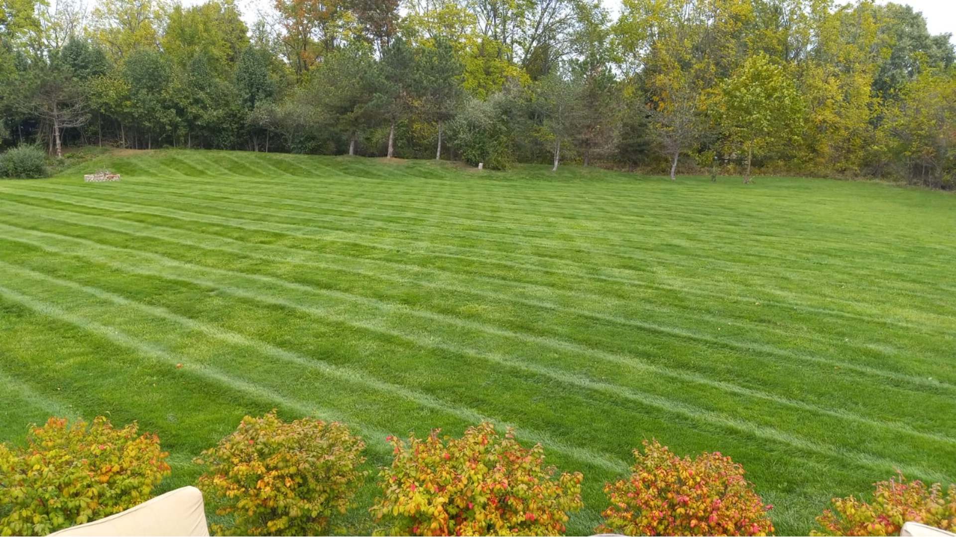 Green lawn after Turk King services in Carmel, IN.