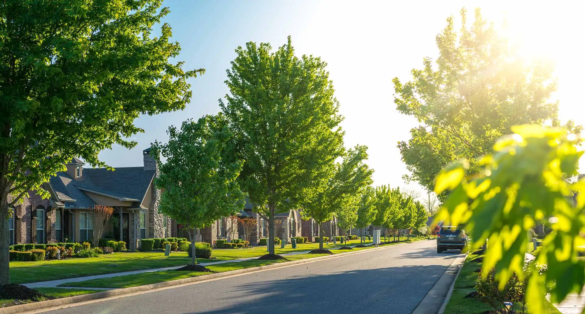 Sun beaming over a street view of a neighborhood in Noblesville, IN.