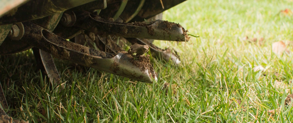 The Perfect Timing: How Often Should You Aerate Your Central Indiana Lawn?