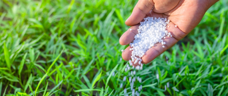 Granular fertilizer pellets poured from hand in Whitestown, IN.