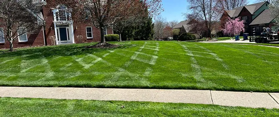 Lush lawn grass with fertilizer treatments at a home in Carmel, Indiana.