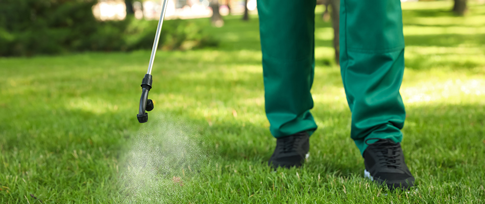 A professional technician spraying lawn with pest control treatment in Noblesville, IN.