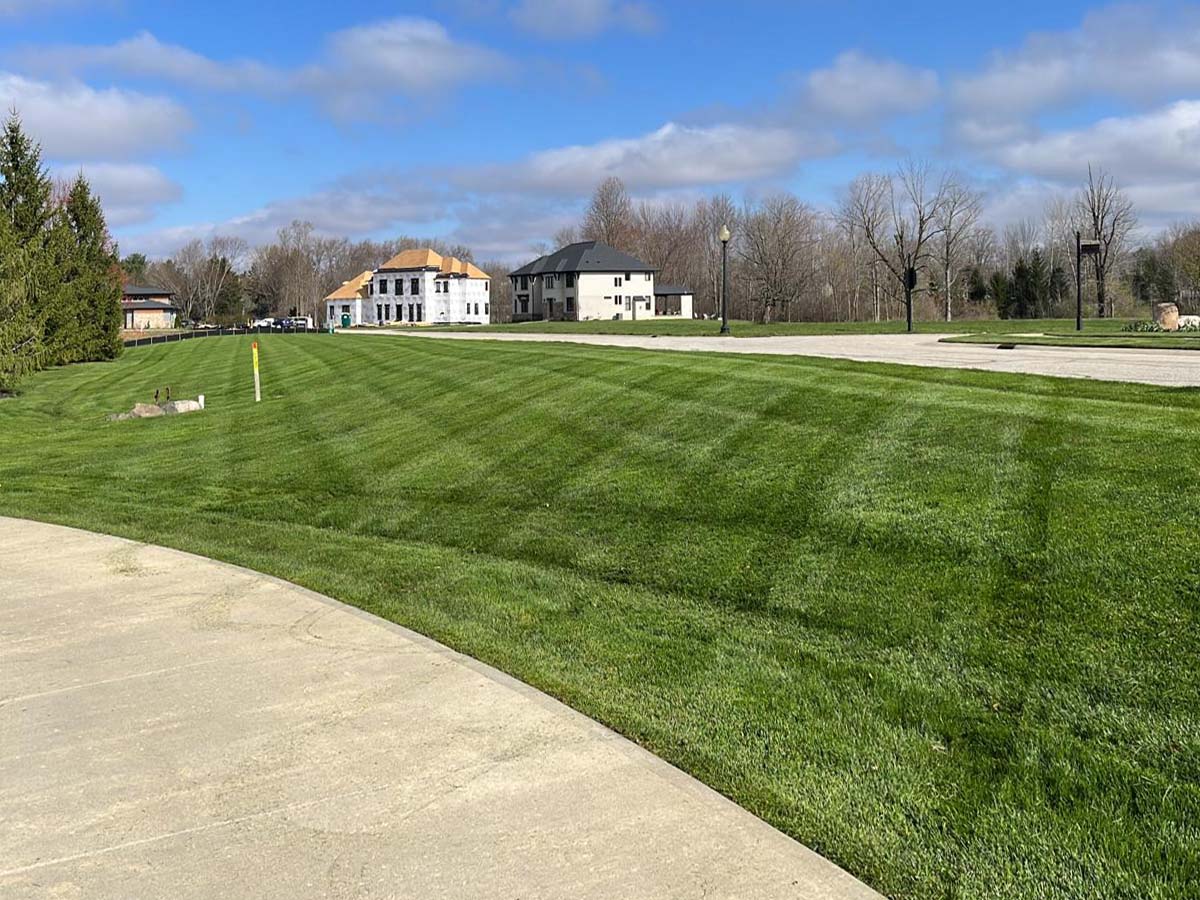 Demystifying Lawn Aeration: A Central Indiana Guide